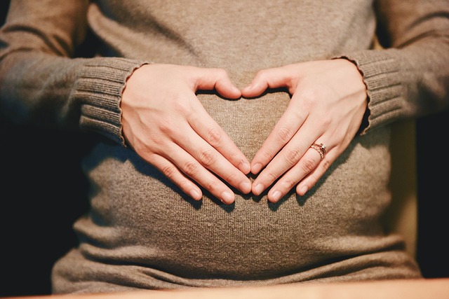 How Pregnancy Happens: Fertilization, Implantation, and Early Development