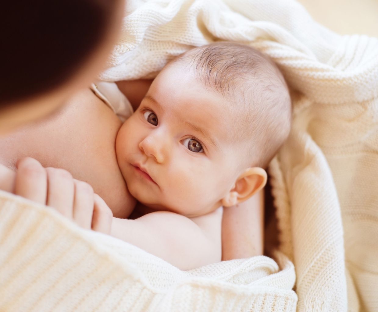 Baby wrapped in a cream knit blanket resting at the breast and looking up