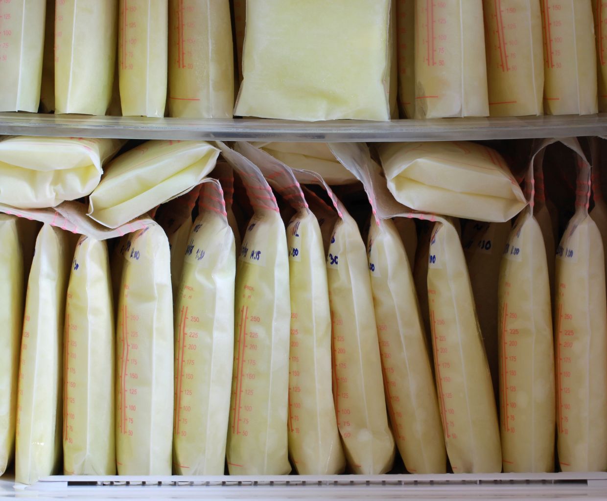 Rows of labeled bags of frozen breast milk stored upright on freezer shelves