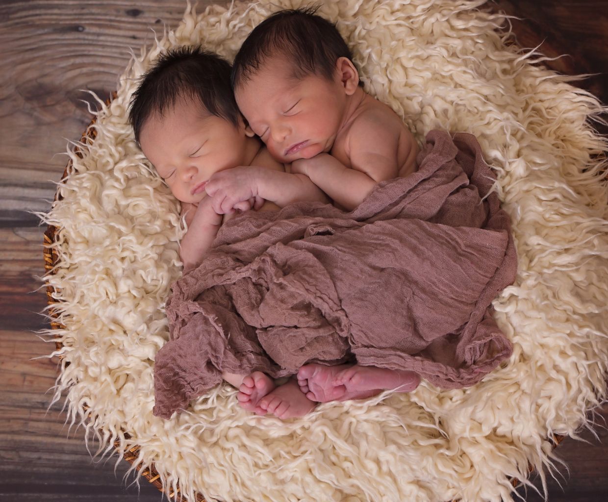 Newborn twins sleeping side by side under a mauve wrap in a basket lined with cream fleece