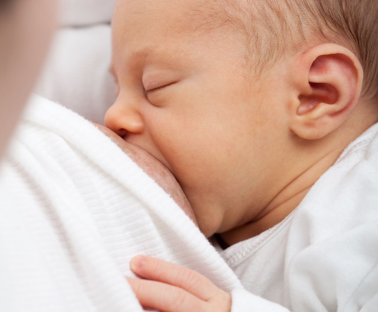 Close-up of a sleeping newborn baby breastfeeding, wrapped in a white blanket