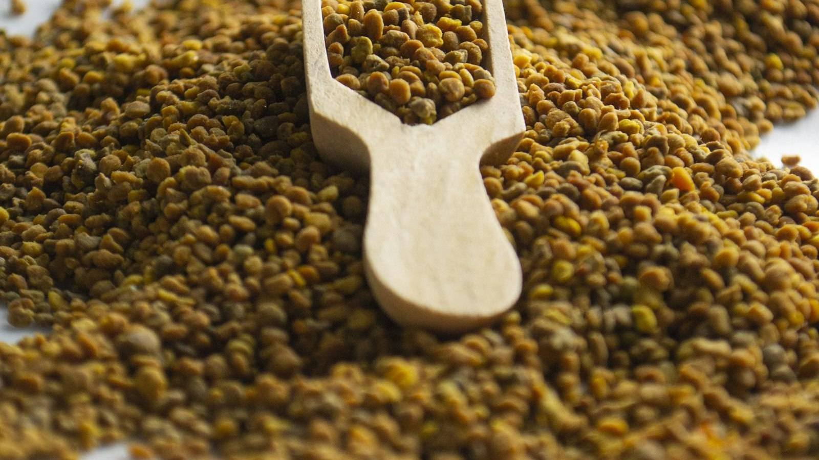 Plate of small brown seeds with a wooden scoop