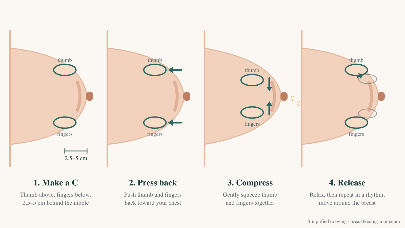 Diagram of the four hand expression steps: make a C, press back, compress, release