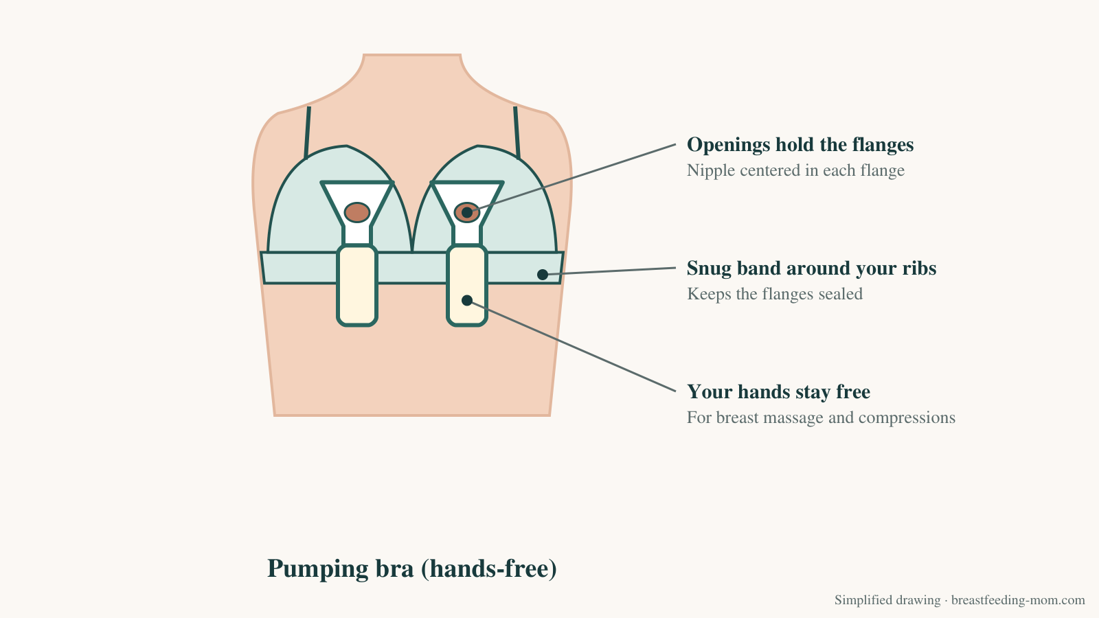 Diagram of a hands-free pumping bra holding two flanges and bottles in place